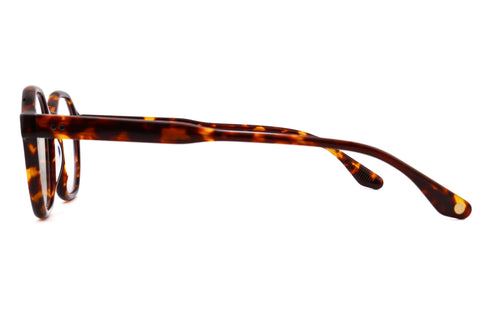 LT22 ISABELLE col.Tortoise